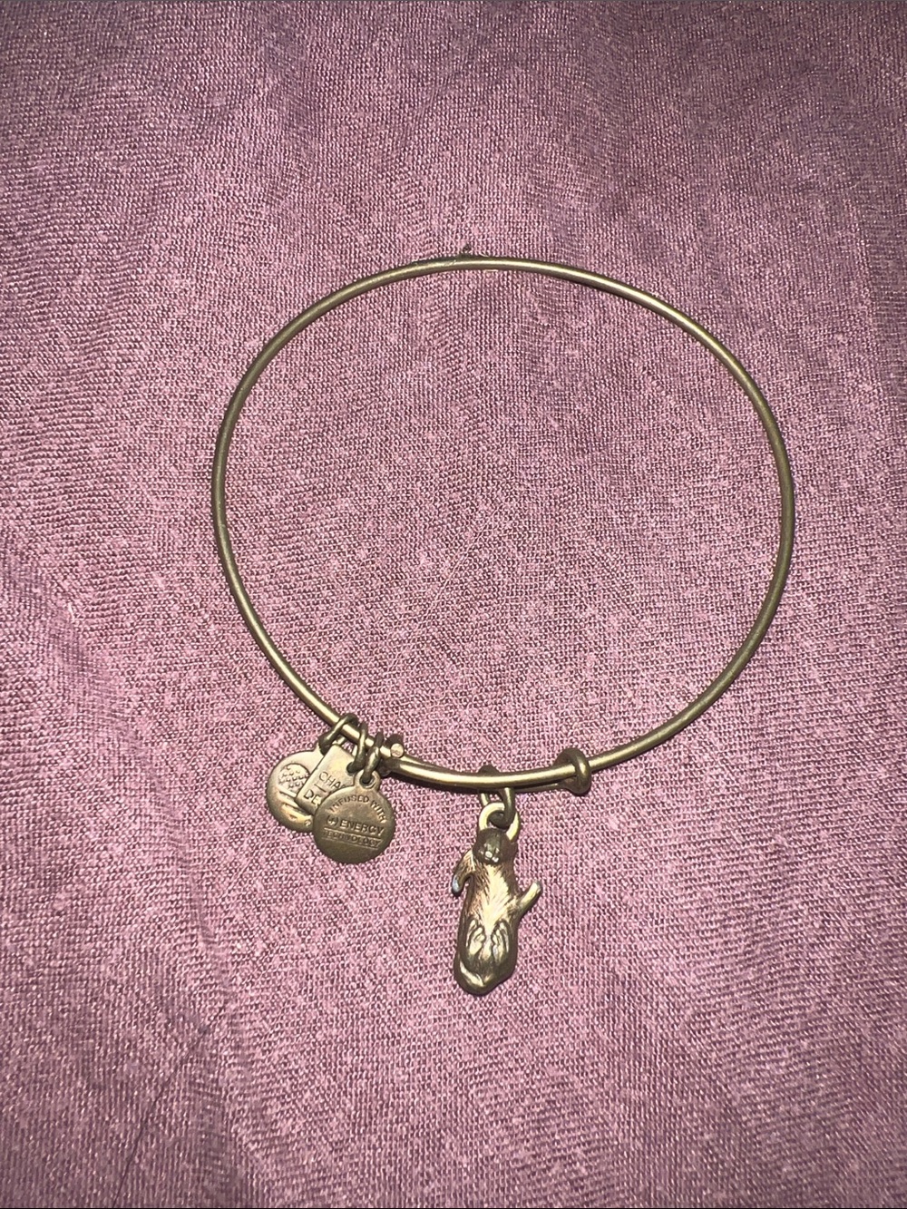 Alex and Ani otter bracelet